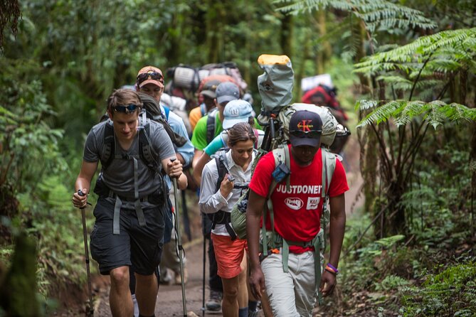 7-Day Machame Kilimanjaro Summit Tour from Arusha - Day 5: Kosovo Camp and preparation for the summit