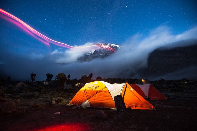 7-Day Machame Kilimanjaro Summit Tour from Arusha - Day 1: Machame Gate to the rainforest