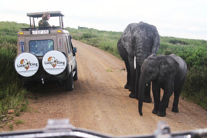 9-Day Serengeti Migration Footsteps Tanzania Safari - Day 6: Returning toward Seronera