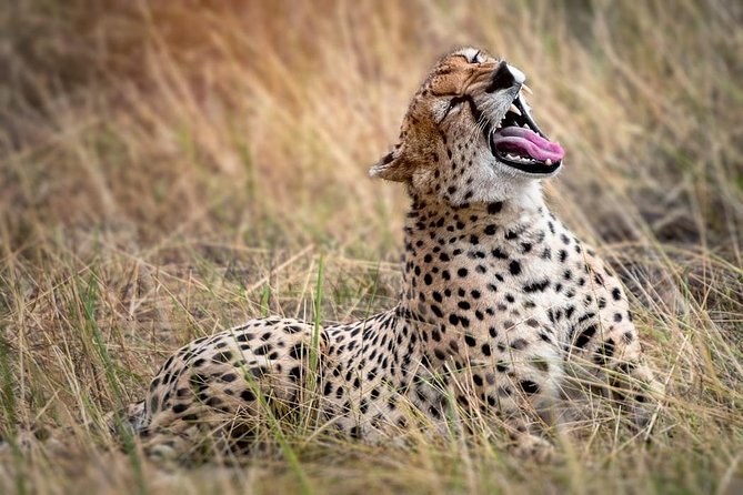 9-Day Serengeti Migration Footsteps Tanzania Safari - Day 1 in Arusha, a useful soft landing