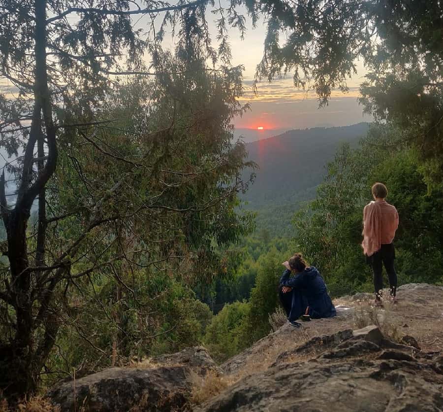 Addis Ababa: Debre Libanos, Blue Nile Gorge, and Cave Tour - Lunch, coffee, and a taste of the countryside