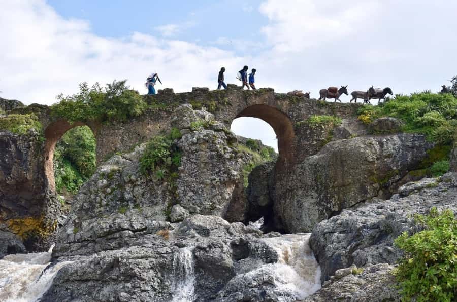 Addis Ababa: Debre Libanos, Blue Nile Gorge, and Cave Tour - Finding gelada baboons in the highlands