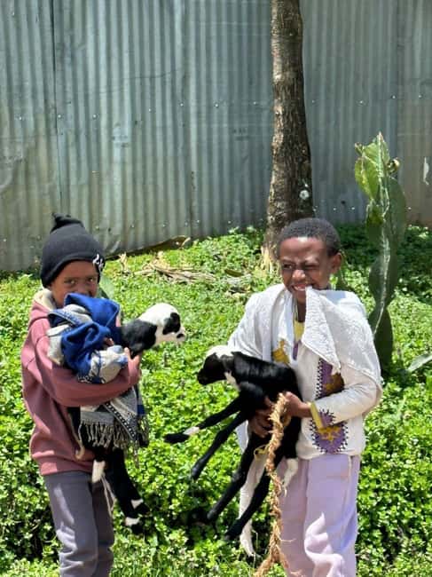 Addis Ababa highlight city tour - FAQ