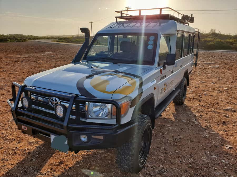 Addo Elephant National Park All Inclusive Full-Day Safari - Who should book this Addo safari?