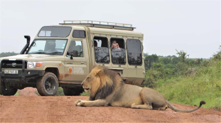 Addo National Park: Guided Half-Day Safari - Is $81 a fair price?