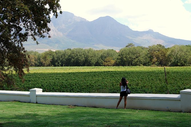 African Story Wine Tours in the Cape Winelands - Four wineries, three wine regions, one long day