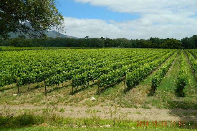 African Story Wine Tours in the Cape Winelands - Lunch at Le Pommier and why it improves the day