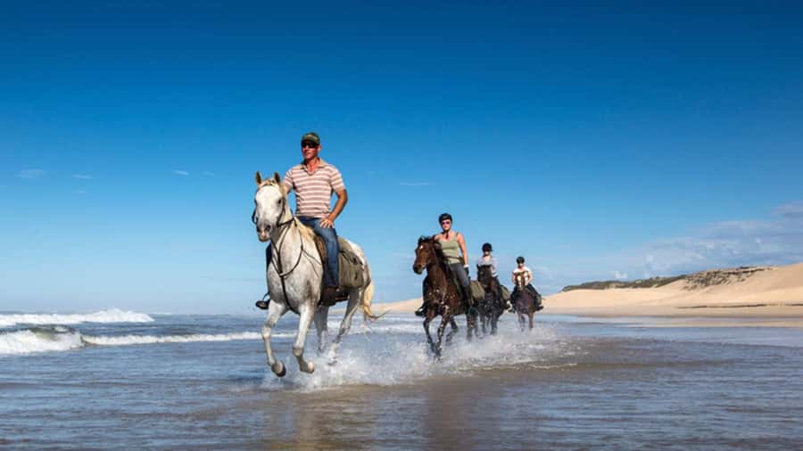Agadir and Taghazout: 2-Hour Horseback Ride on the Beach - Who should book this ride
