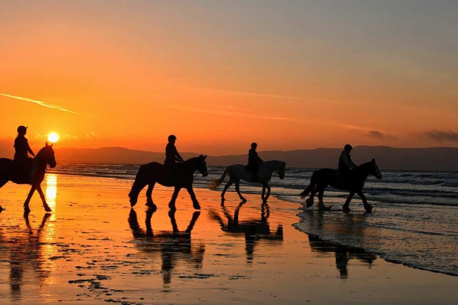 Agadir and Taghazout: 2-Hour Horseback Ride on the Beach - Riding from the ranch to Ouirer Beach