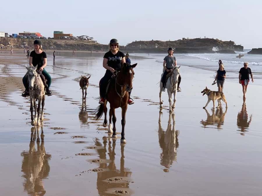 Agadir and Taghazout: 2-Hour Horseback Ride on the Beach - Patient guides and useful photo stops