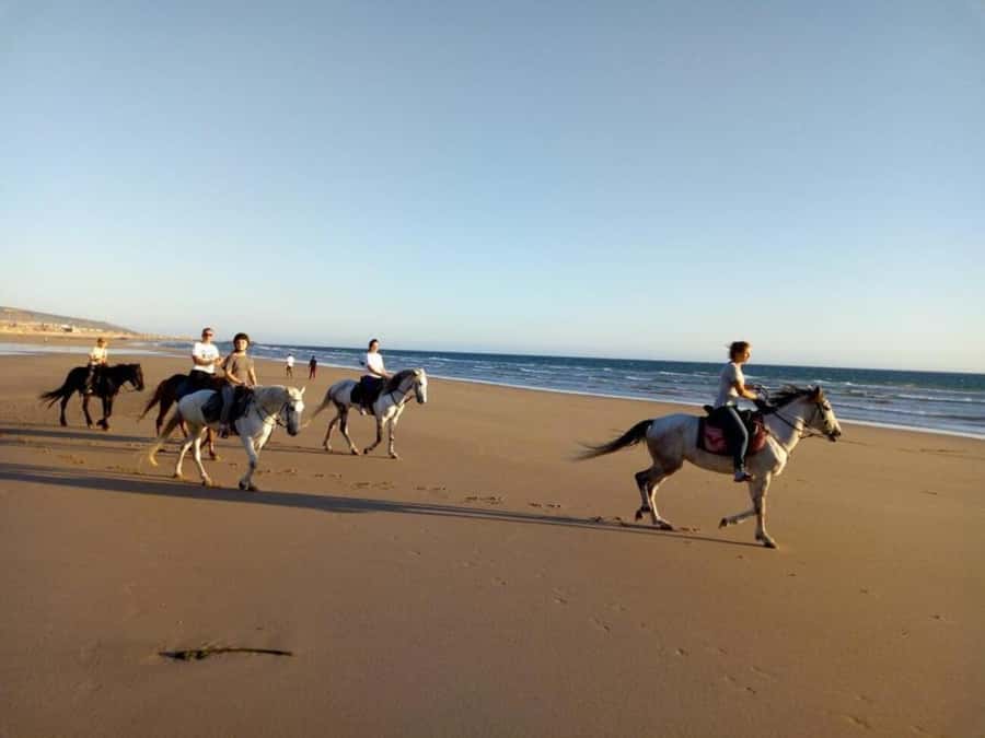 Agadir and Taghazout: 2-Hour Horseback Ride on the Beach - How the ride works for first-timers