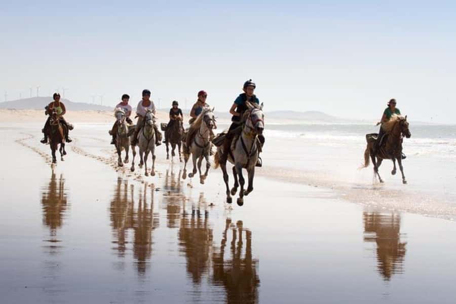 Agadir and Taghazout: 2-Hour Horseback Ride on the Beach - What the horses and ranch are like