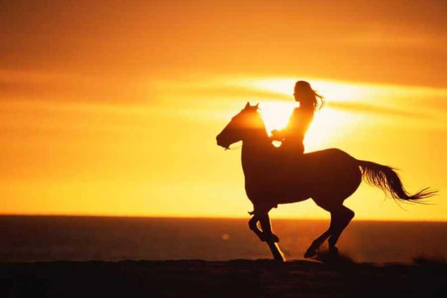 Agadir and Taghazout: 2-Hour Horseback Ride on the Beach - Ninety minutes beside the Atlantic