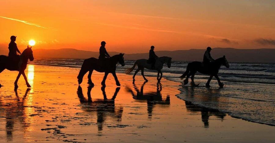 Agadir and Taghazout: Morning Horse Ride on The Beach - Guides Hassan, Mustafa, and the practical help they provide