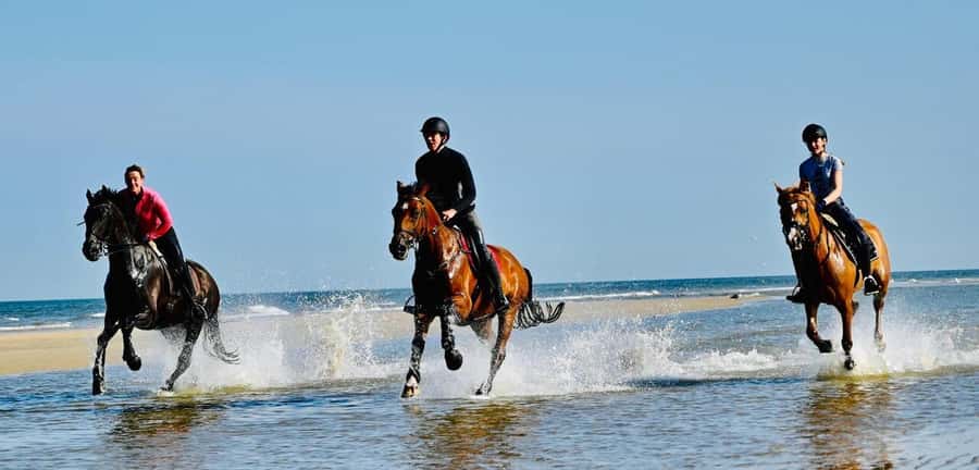Agadir and Taghazout: Morning Horse Ride on The Beach - Is $45 fair for an hour and a half?