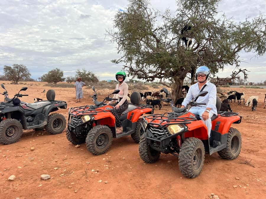 Agadir: ATV Quad Biking and Goats On Argan Trees with Tea - Quick take: five useful things to know