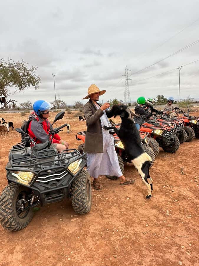 Agadir: ATV Quad Biking and Goats On Argan Trees with Tea - Guides, group size, and the pace of the day