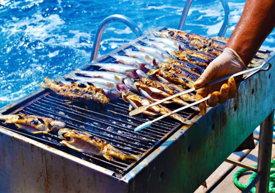 Agadir: Boat Trip with Fishing, Swimming, and BBQ Lunch - Practical Tips for a Better Morning