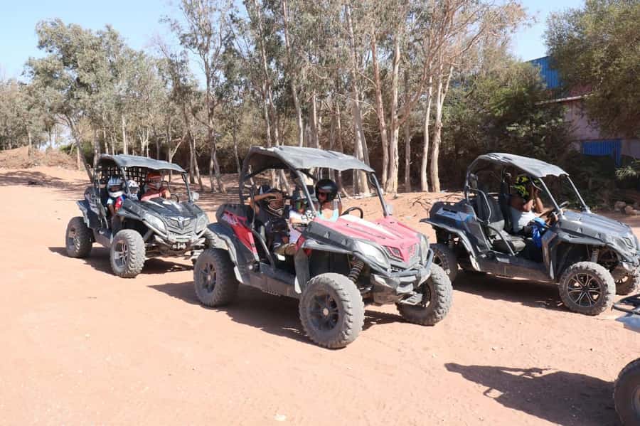 Agadir: Buggy Adventure with Hotel Transfers - Who will enjoy this buggy trip most