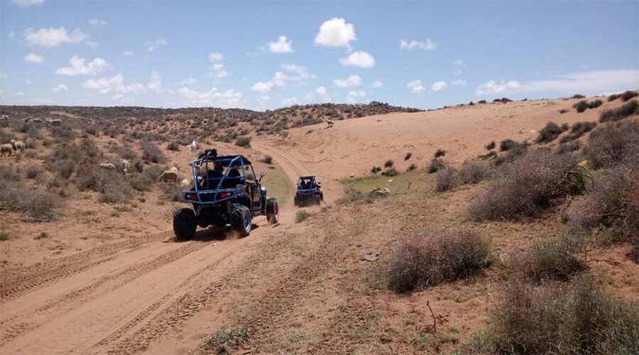 Agadir: Buggy Safari Adventure - My practical verdict before you book