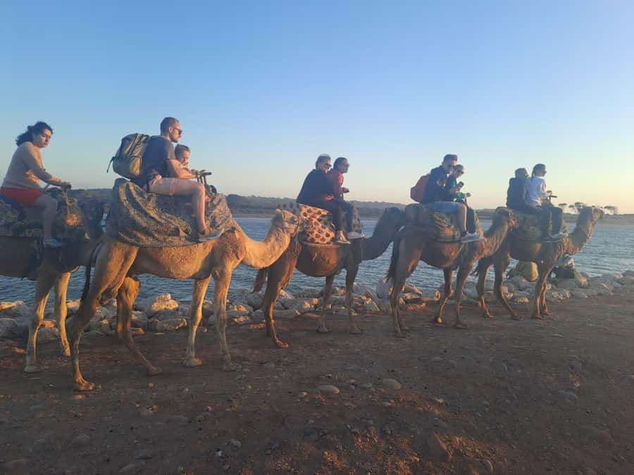 Agadir: Camel or Horse Ride + BBQ & Transfer Sunset Optional - Choosing the right departure time