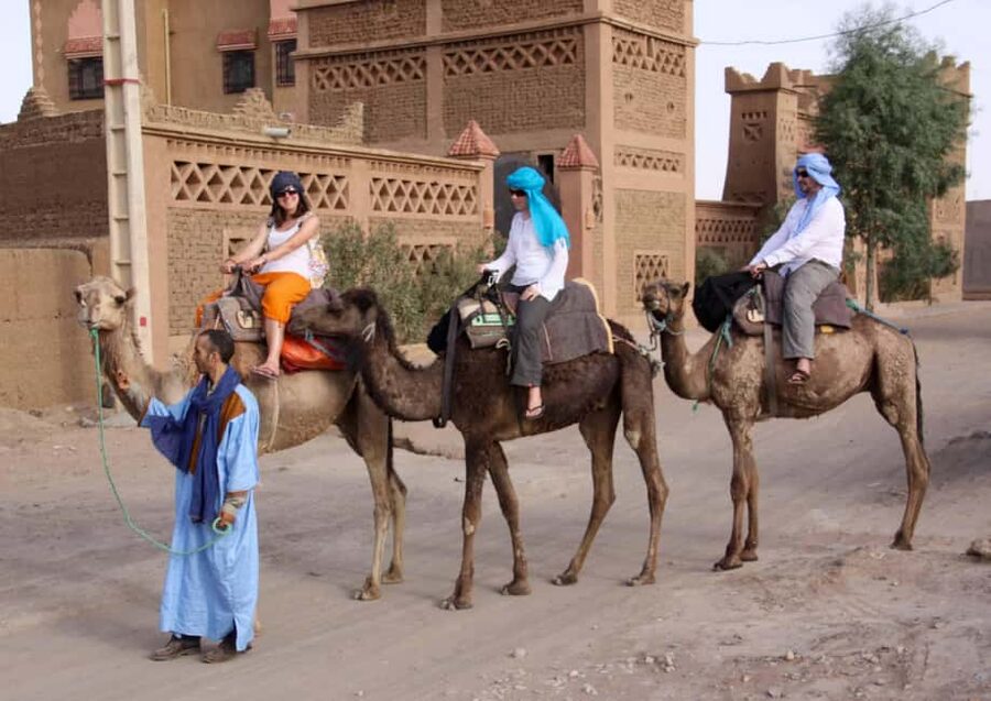 Agadir: Camel Ride With Tea & BBQ Dinner Option - Key points at a glance
