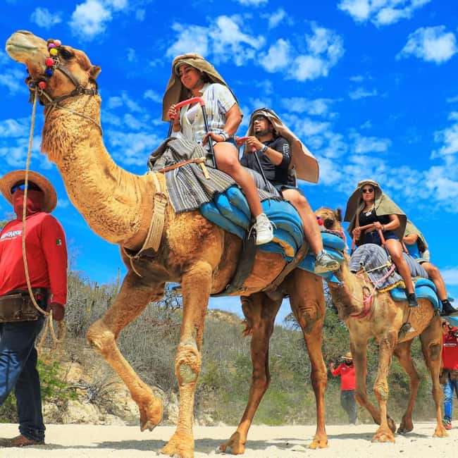 Agadir: Camel Ride With Tea & BBQ Dinner Option - Leaving Agadir for the Souss River