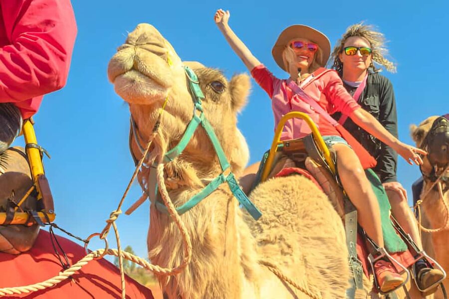 Agadir: Camel Ride With Tea & BBQ Dinner Option - The 90-minute route through trees and open tracks