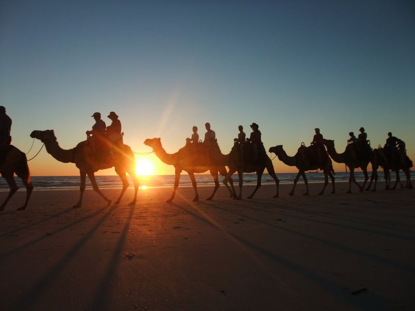 Agadir: Camel Ride With Tea & BBQ Dinner Option - Mint tea, biscuits, and a traditional stop