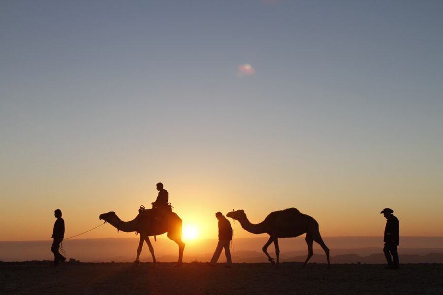 Agadir: Camel Ride With Tea & BBQ Dinner Option - Transport, timing, and group rhythm