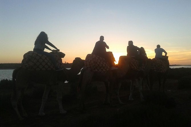 Agadir Camel Riding +Sunset and Dinner( barbecue) - Riding a dromedary toward the Souss estuary