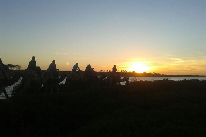 Agadir Camel Riding +Sunset and Dinner( barbecue) - Dinner inside the traditional tent