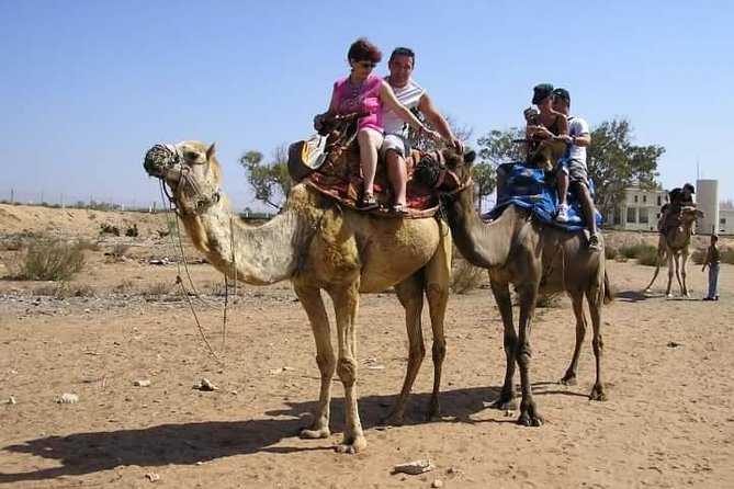 Agadir Camel Riding +Sunset and Dinner( barbecue) - My verdict on the camel ride and dinner