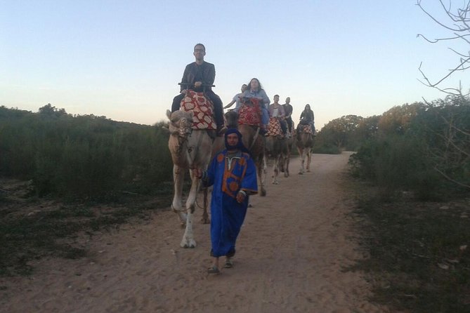 Agadir Camel Riding +Sunset and Dinner( barbecue) - Shared camels and the real sunset question
