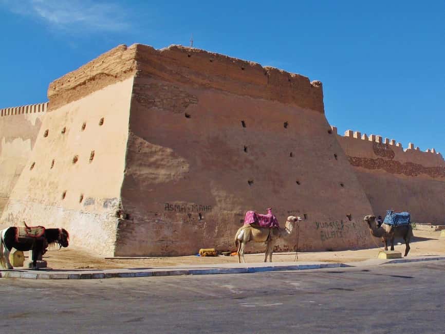 Agadir City Tour + Kasbah + Souk Market - Guides, transport, and the human side of the tour