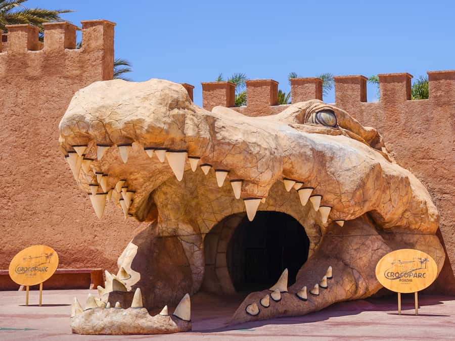 Agadir: Crocoparc Skip-the-Line Entry Ticket - Why Crocoparc Is More Than a Crocodile Enclosure