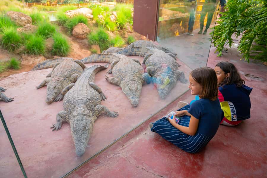 Agadir: Crocoparc Skip-the-Line Entry Ticket - Who Should Visit Crocoparc?
