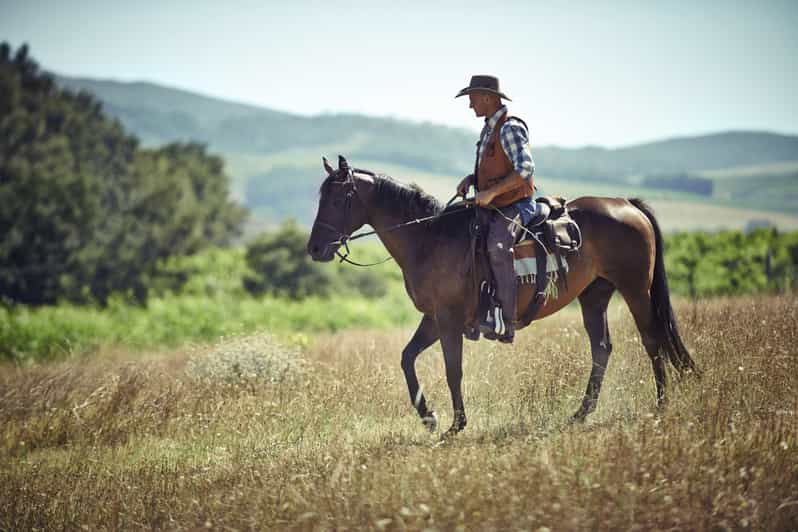 Agadir: Forest and Sand Dunes Guided Horse Riding - From Agadir’s hotel pickup to the stable