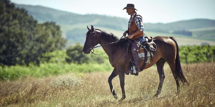 Agadir: Forest and Sand Dunes Guided Horse Riding - Choosing a horse and finding your pace
