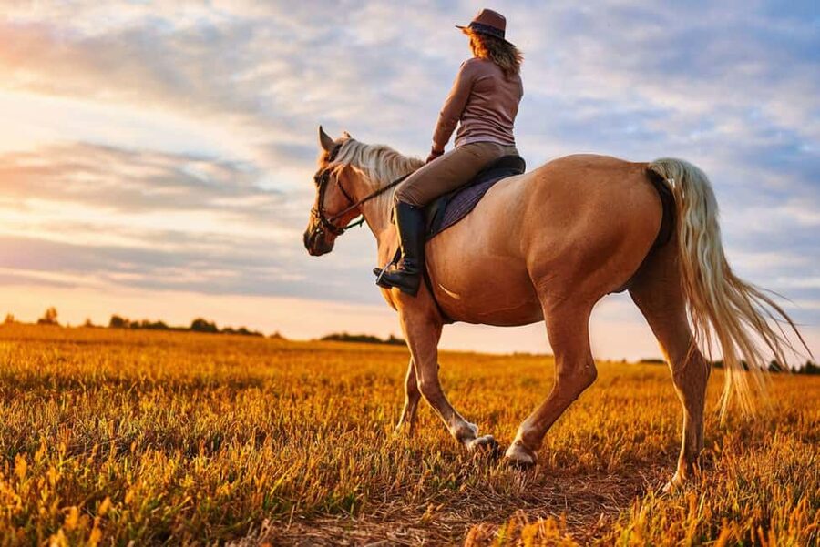 Agadir: Forest and Sand Dunes Guided Horse Riding - Along the beach and sand dunes