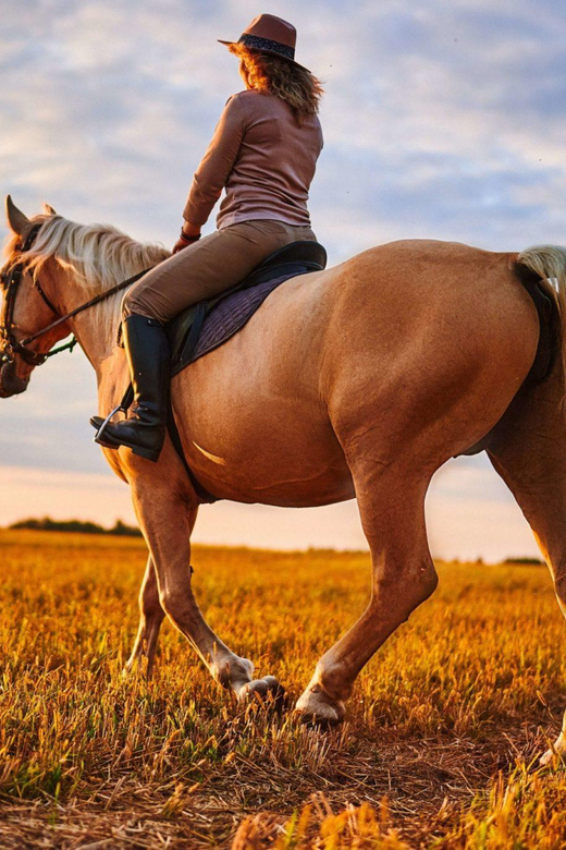 Agadir: Forest and Sand Dunes Guided Horse Riding - A route shared with camel rides