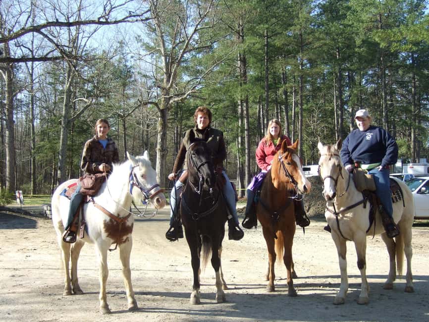 Agadir: Forest and Sand Dunes Guided Horse Riding - Safety, comfort, and the beginner question