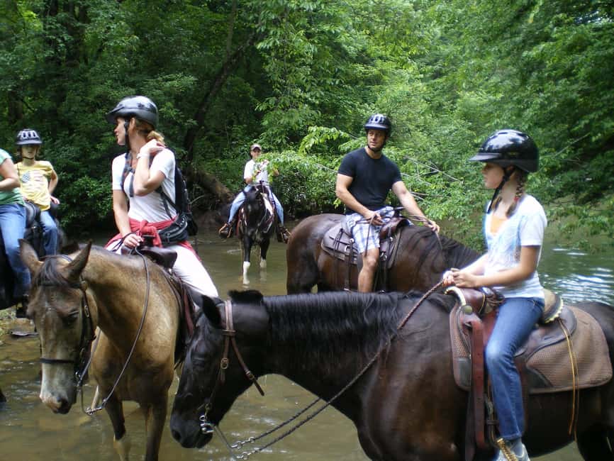 Agadir: Forest and Sand Dunes Guided Horse Riding - Tea, conversation, and the ride home