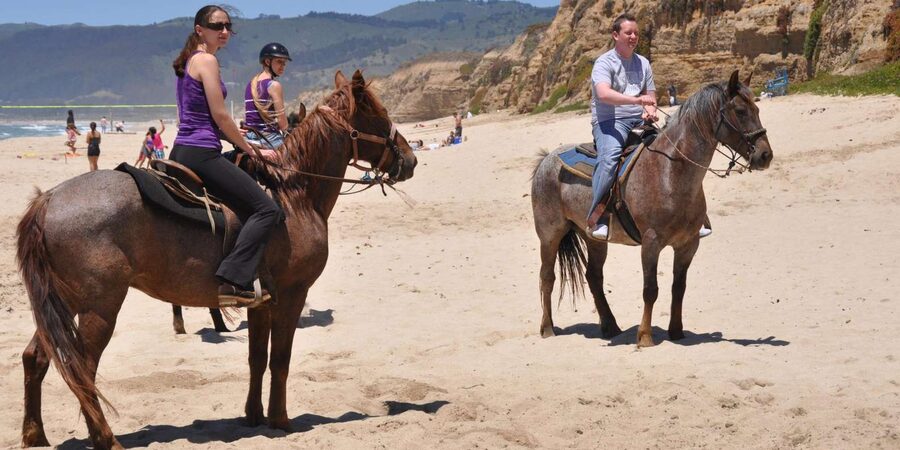 Agadir: Forest and Sand Dunes Guided Horse Riding - Who should book this Agadir horse ride?