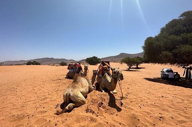 Agadir Jeep Safari Sahara Desert 4x4 Day Tour with Lunch - Tifnit and the mini Sahara
