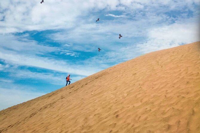 Agadir Jeep Safari Sahara Desert 4x4 Day Tour with Lunch - Sidi Rbat Beach and the Atlantic edge