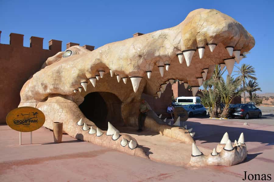 Agadir or Taghazout: Goat on Trees and Crocoparc with Pickup - The argan trees and the famous goats