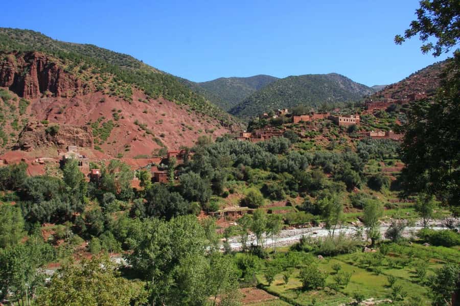 Agadir or Taghazout: Paradise Valley Atlas Mountain Trip - Pools, rocks, and free time