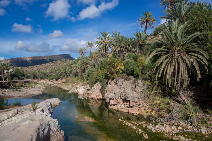 Agadir or Taghazout: Paradise Valley Atlas Mountain Trip - Is $16 genuinely good value?
