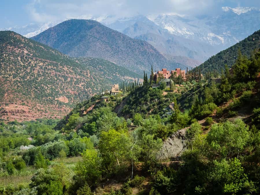 Agadir or Taghazout: Paradise Valley Atlas Mountain Trip - Should you book the Paradise Valley trip?